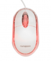 Гарнизон GM-100W